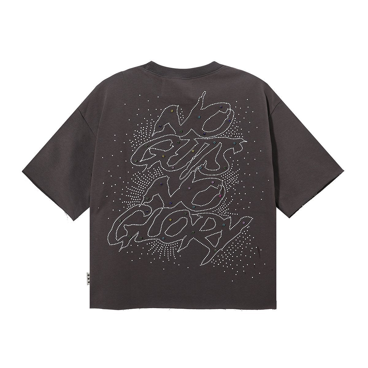 BKYS Revival No Gut No Glory Rhinestone Cropped T-Shirt ¡ª back