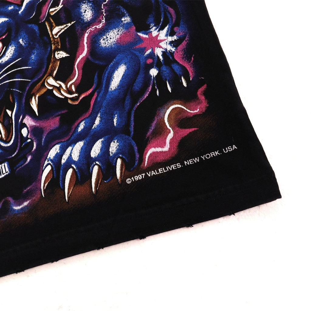 VALE USA Valley Dreams Graphic T-Shirt ¡ª detail