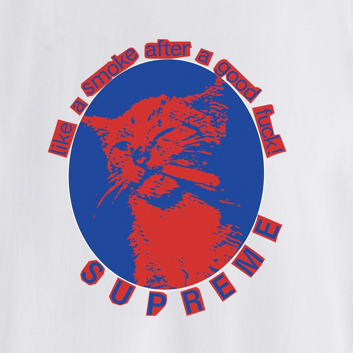 Supreme Cat Smoke Graphic T-Shirt ¡ª detail
