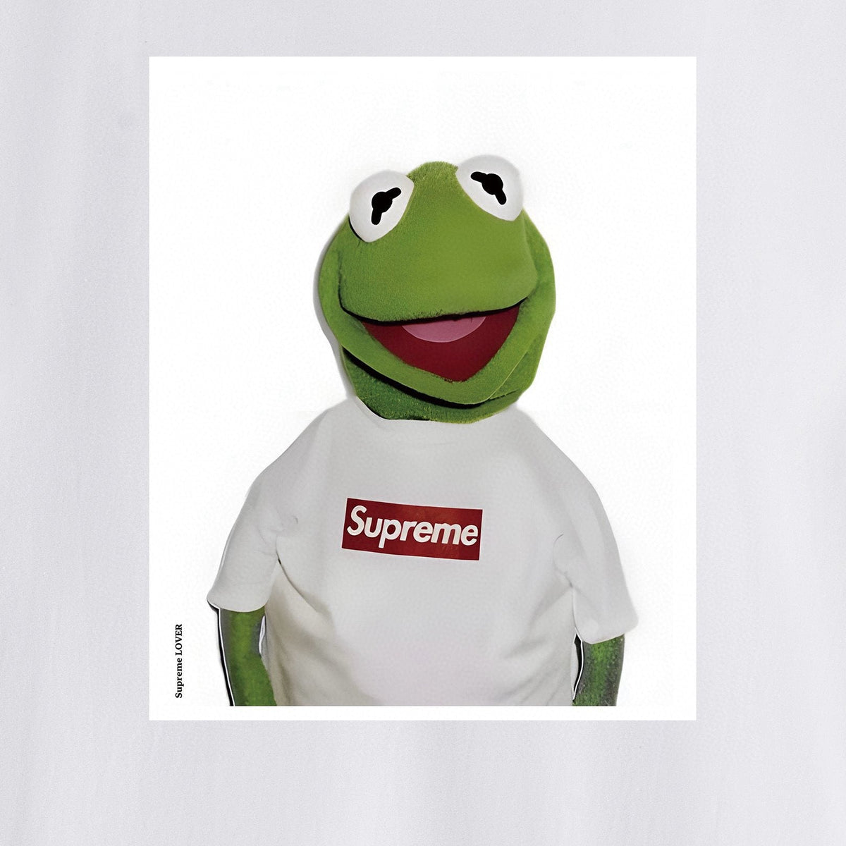 Supreme Kermit Photo Graphic T-Shirt ¡ª detail