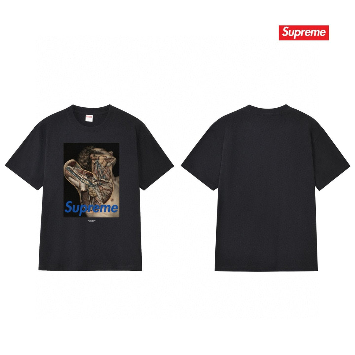 Supreme Anatomical Target Graphic T-Shirt ¡ª back