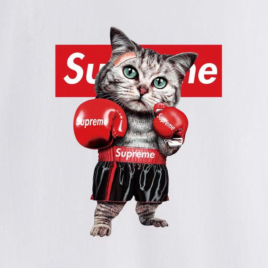 Supreme Boxing Cat Graphic T-Shirt ¡ª detail