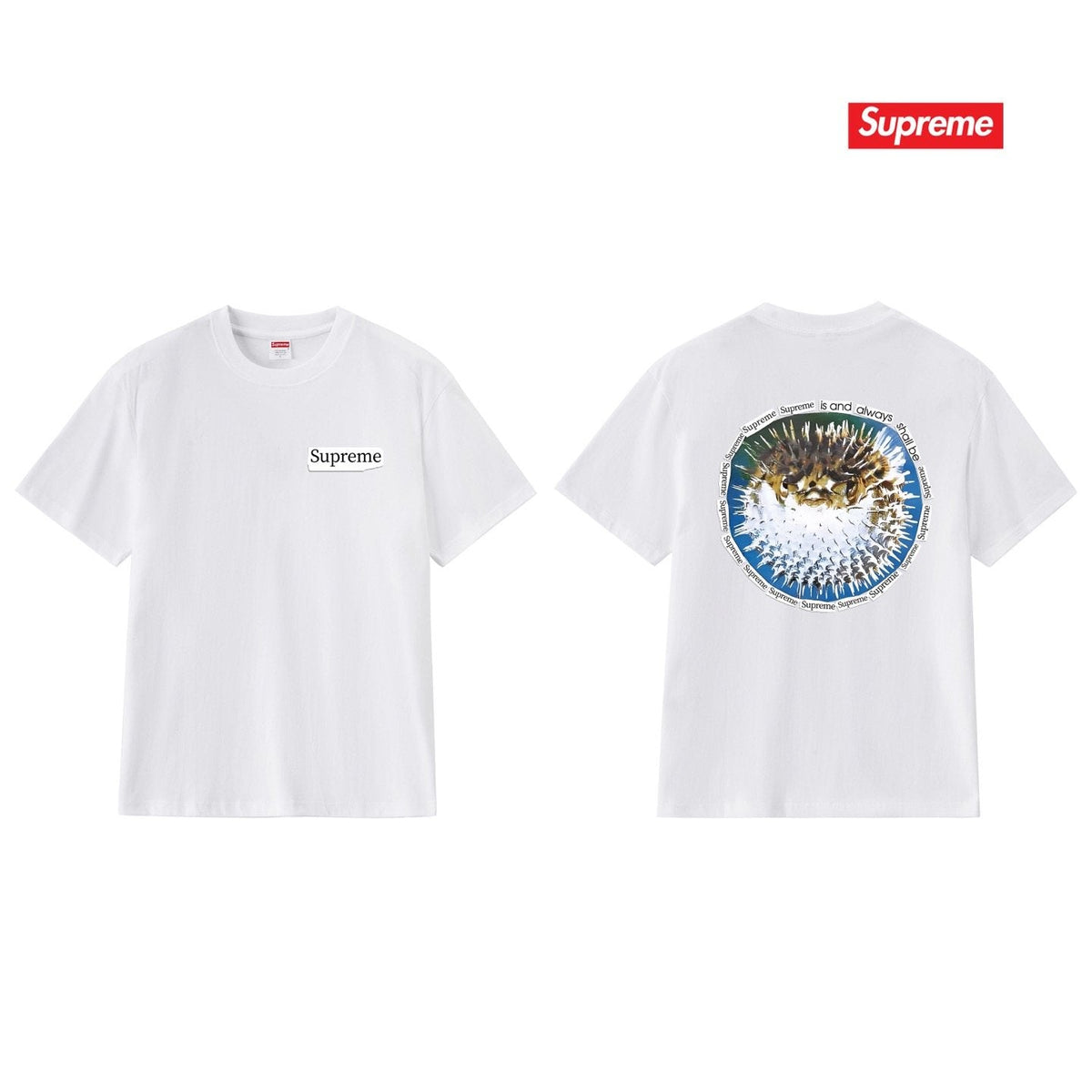 Supreme Pufferfish Back Graphic T-Shirt ¡ª comparison