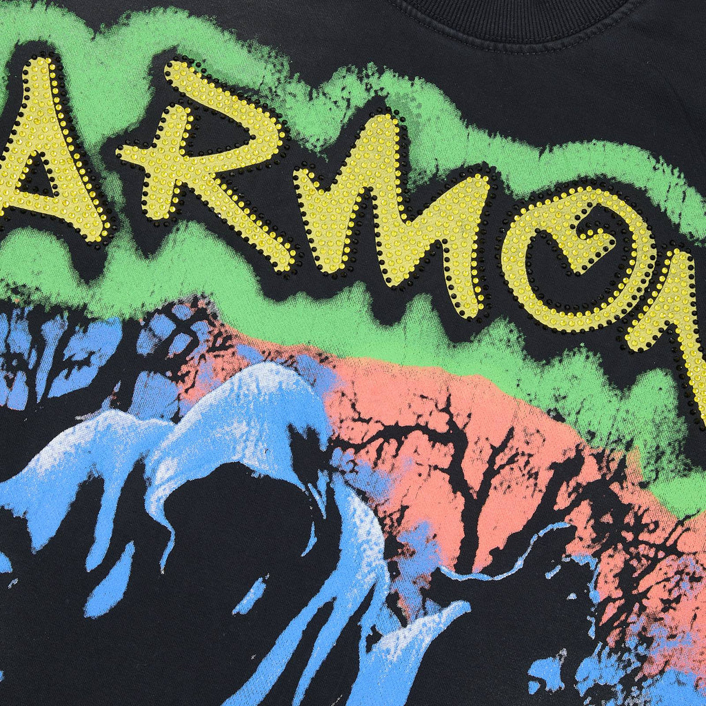 HARMONY Raw-Edge Graphic T-Shirt ¡ª detail