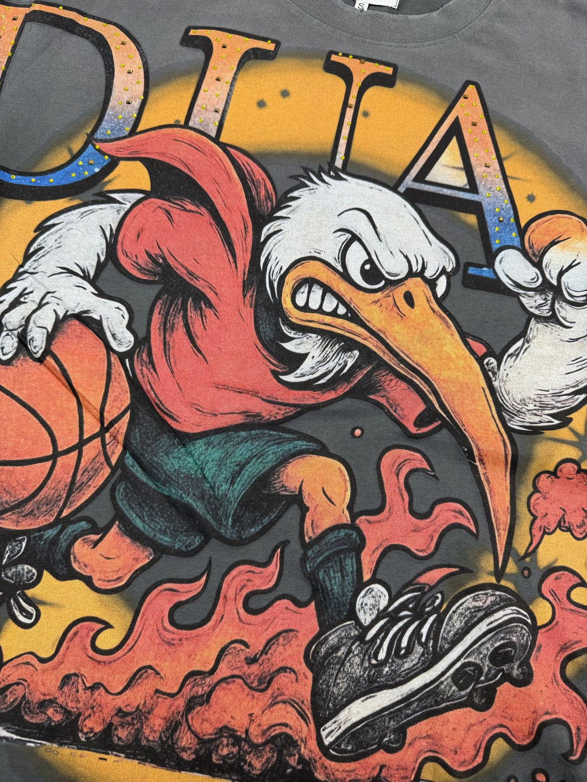 DUAA Duck Basketball Graphic T-Shirt ¡ª detail