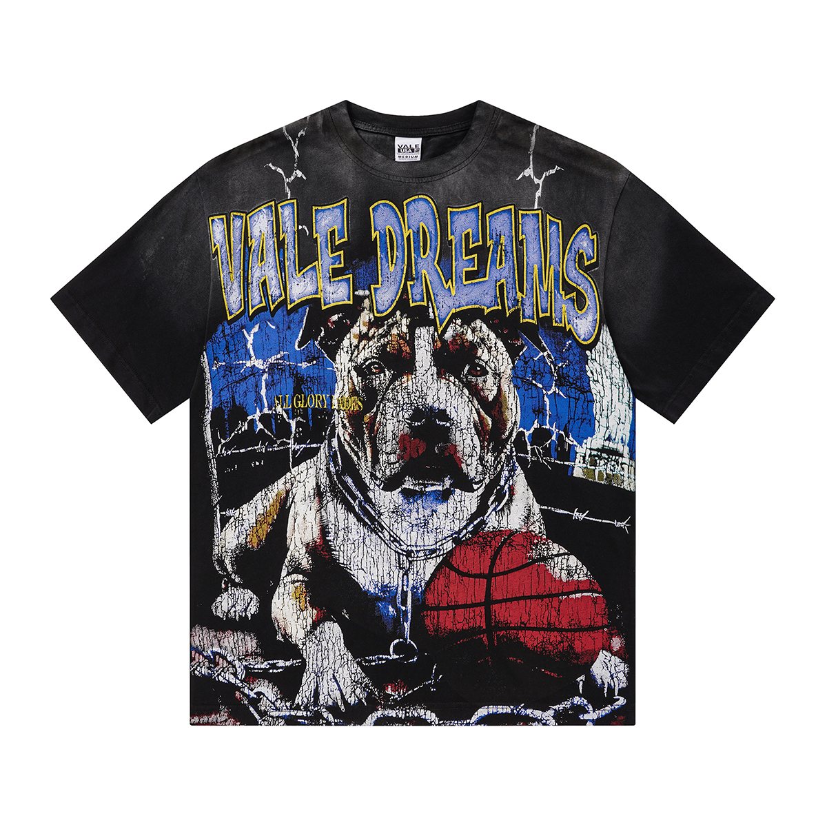 VALLEY Dog Basketball Graphic T-Shirt ¡ª hero