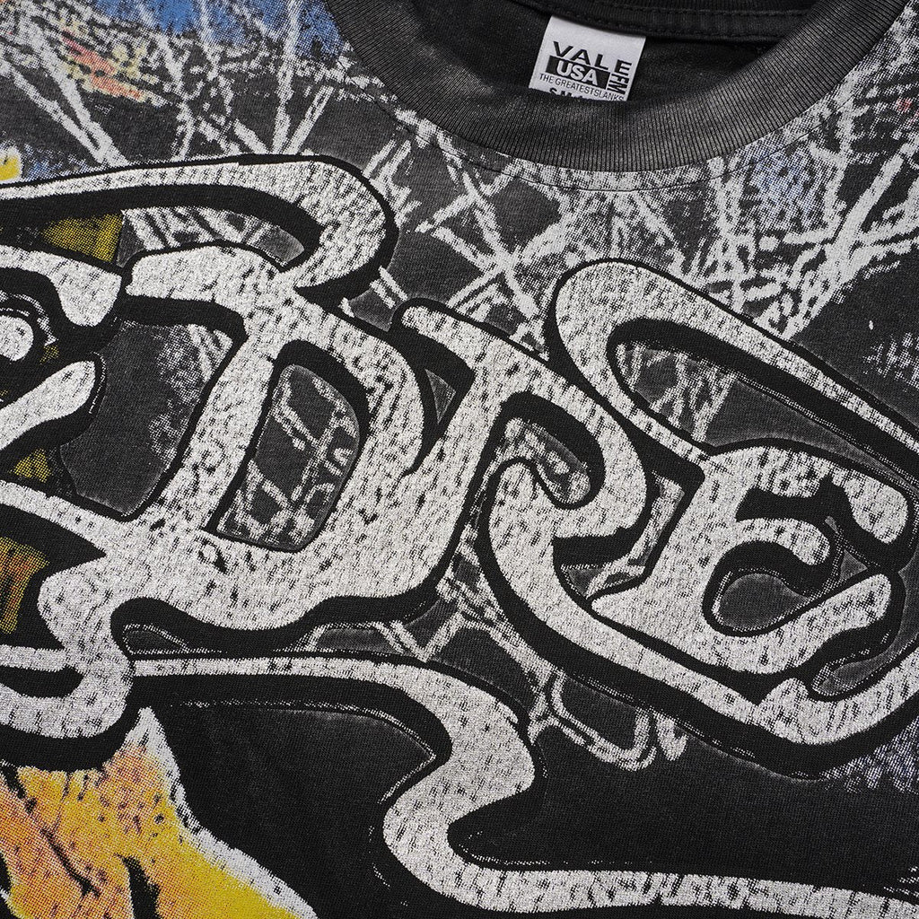 VALLEY Basketball Animal Graphic Short-Sleeve T-Shirt ¡ª detail