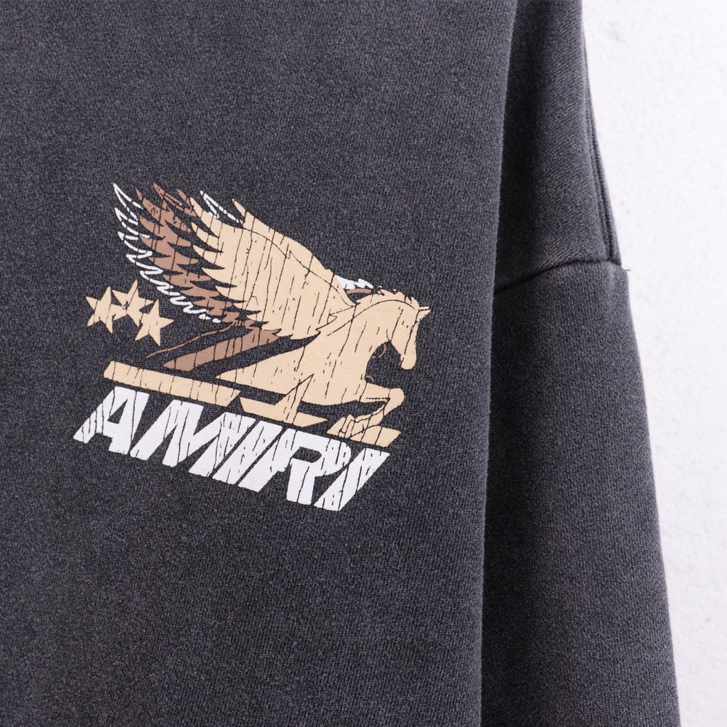AMIRI Pegasus Graphic Hoodie ¡ª detail