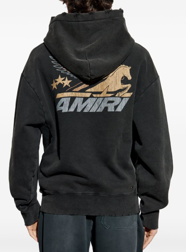 AMIRI Pegasus Graphic Hoodie ¡ª back
