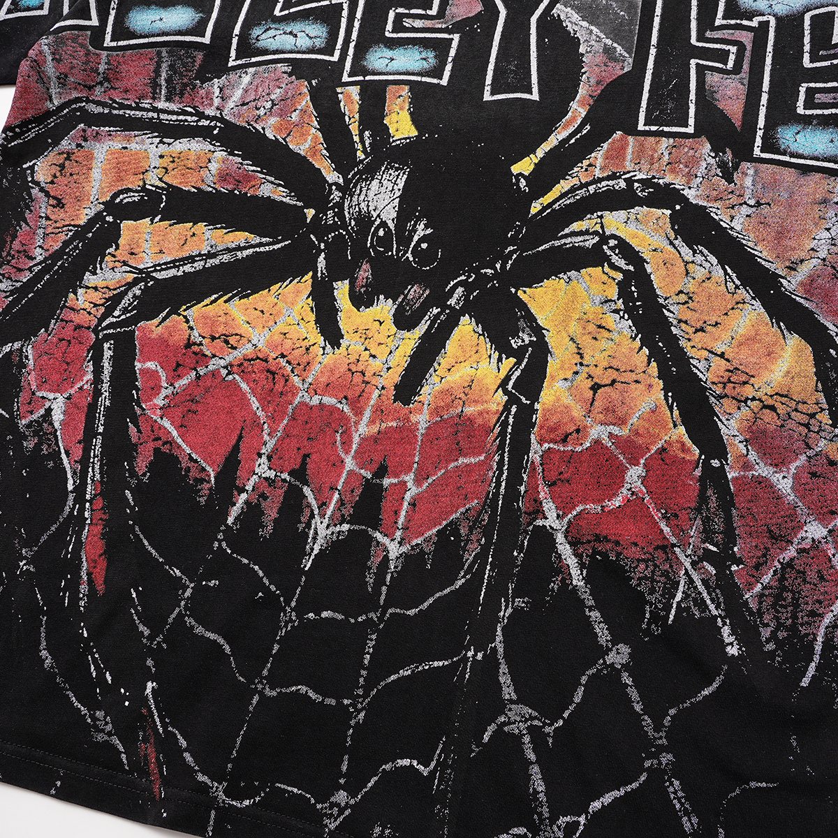 VALLEY Fest Spider Web Graphic T-Shirt ¡ª detail