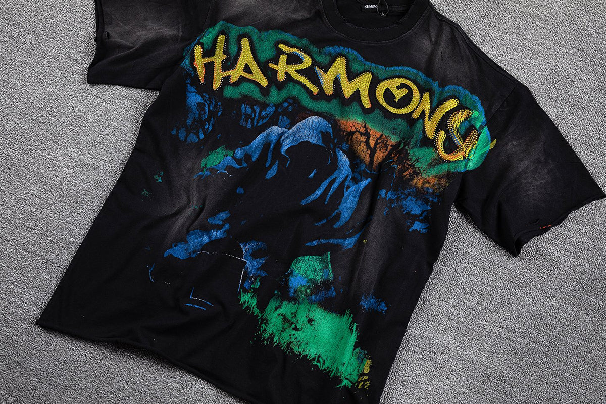 HARMONY Mountain Graphic Short-Sleeve T-Shirt ¡ª front