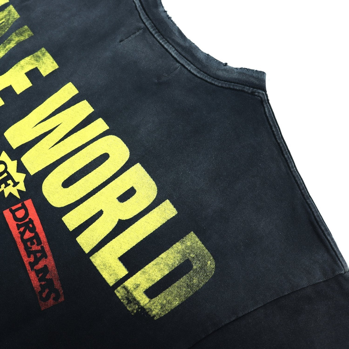 Valley Dreams Vale World Ride Graphic T-Shirt ¡ª detail