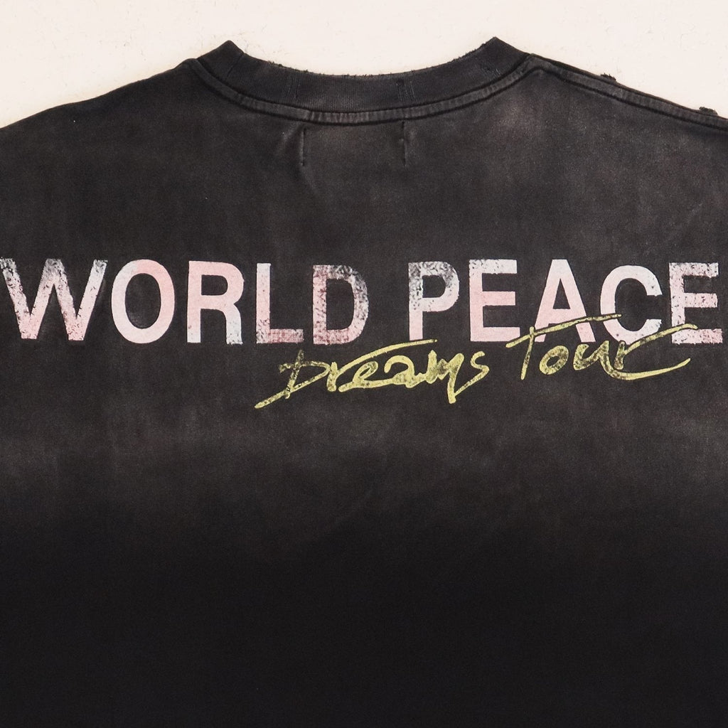 Valley Dreams World Peace Graphic T-Shirt ¡ª detail