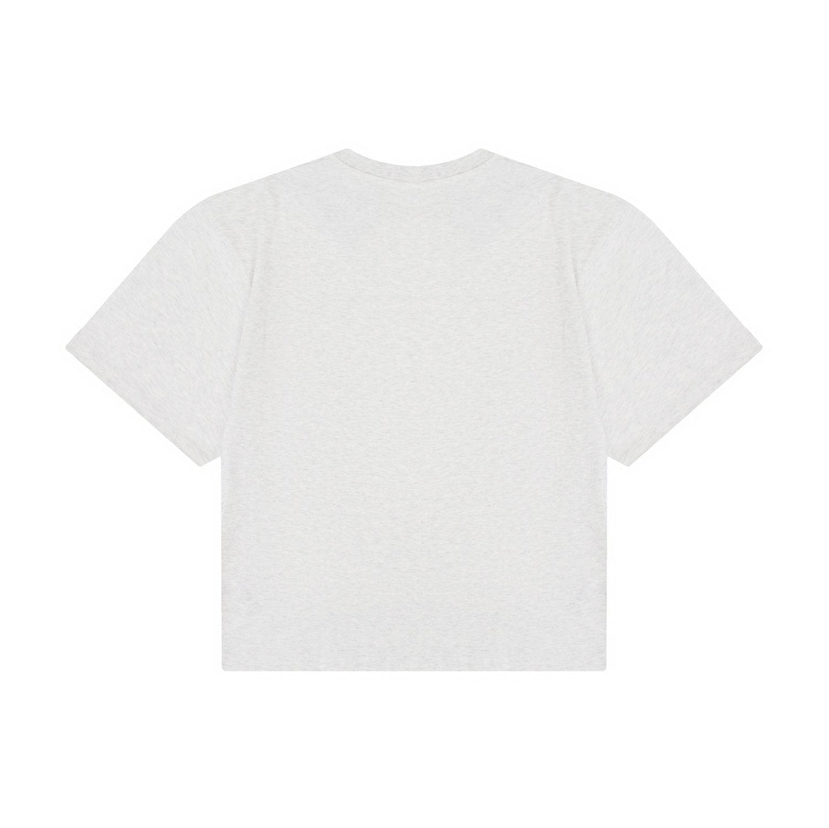 Test2-Ralph Lauren Embroidered Pony Oversized Drop-Shoulder T-Shirt ¡ª back