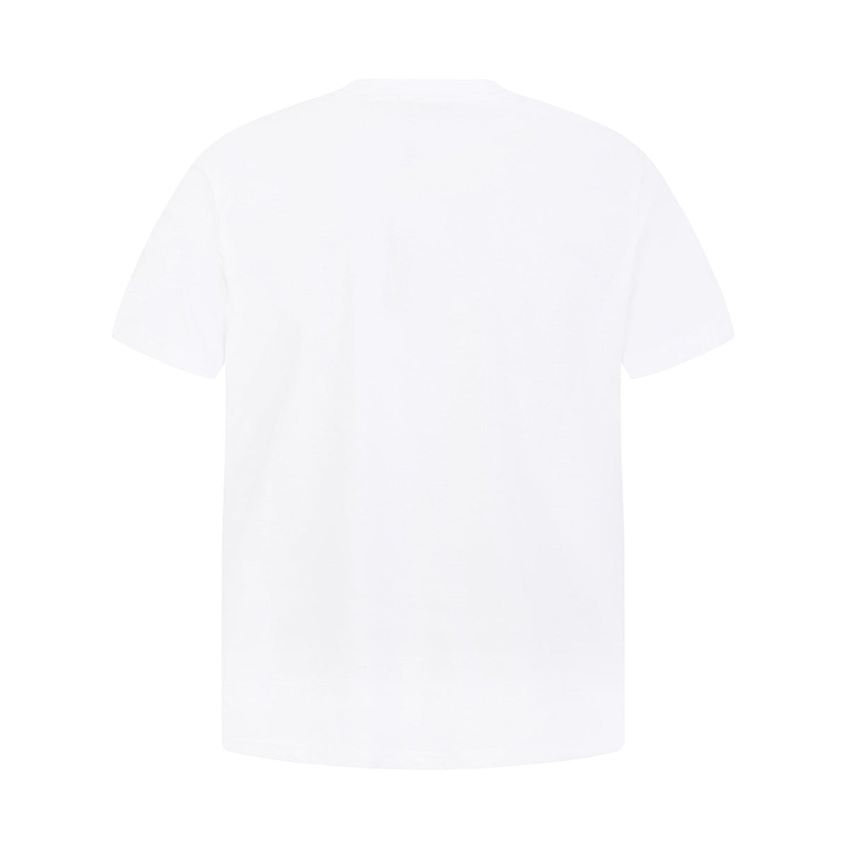 Test2-Ralph Lauren Embroidered Three-Button Henley Shirt ¡ª back